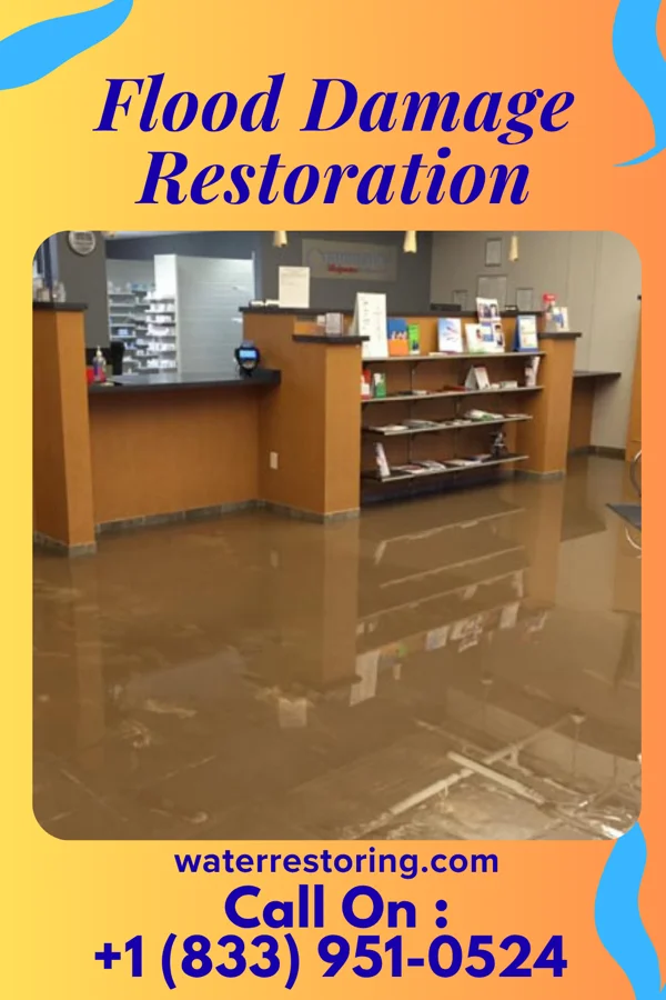 Flood Damage Restoration in Sunrise, FL