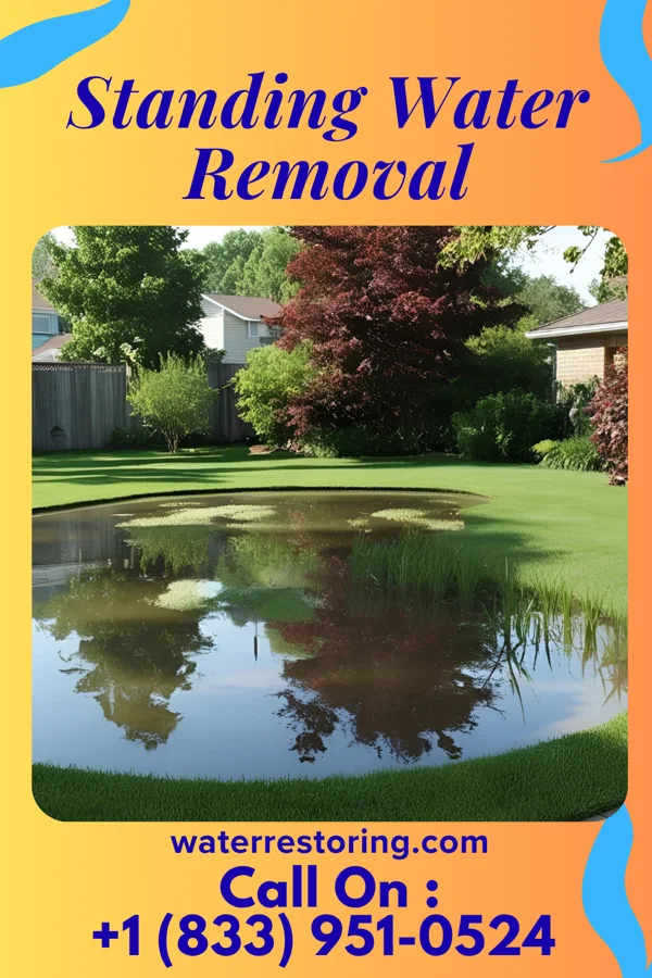 Standing Water Removal in Sunrise, FL